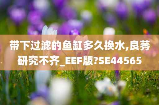 带下过滤的鱼缸多久换水,良莠研究不齐_EEF版?SE44565