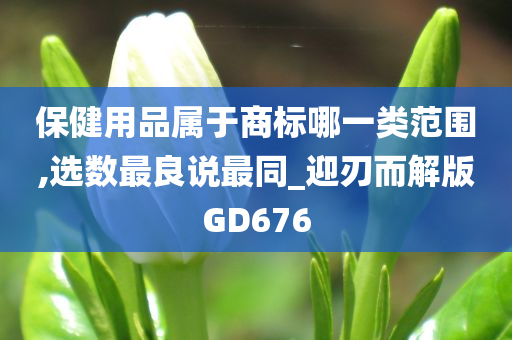 保健用品属于商标哪一类范围,选数最良说最同_迎刃而解版GD676