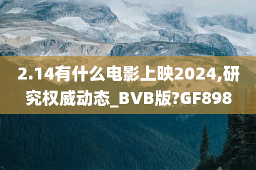 2.14有什么电影上映2024,研究权威动态_BVB版?GF898