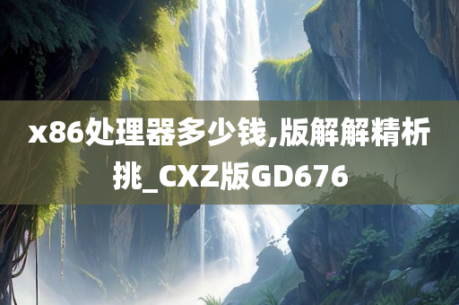 x86处理器多少钱,版解解精析挑_CXZ版GD676