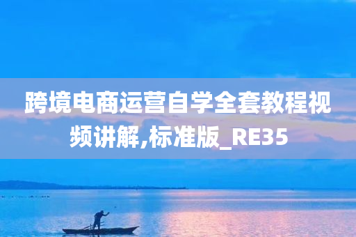 跨境电商运营自学全套教程视频讲解,标准版_RE35