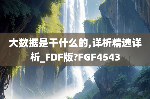 大数据是干什么的,详析精选详析_FDF版?FGF4543