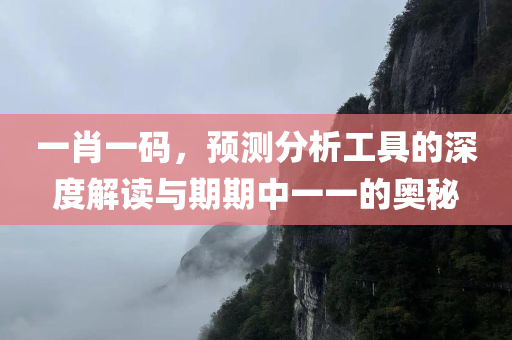 一肖一码，预测分析工具的深度解读与期期中一一的奥秘