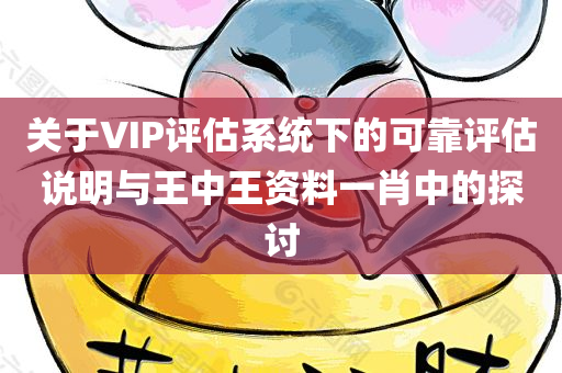 关于VIP评估系统下的可靠评估说明与王中王资料一肖中的探讨