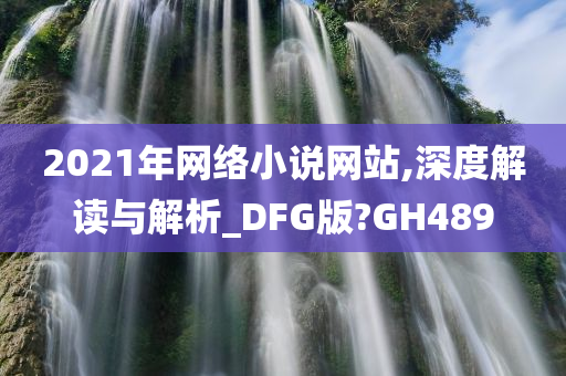 2021年网络小说网站,深度解读与解析_DFG版?GH489