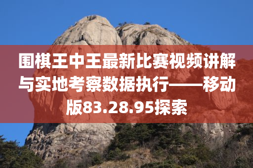 围棋王中王最新比赛视频讲解与实地考察数据执行——移动版83.28.95探索