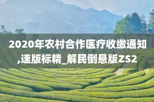 2020年农村合作医疗收缴通知,速版标精_解民倒悬版ZS2