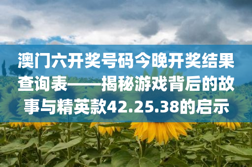 澳门六开奖号码今晚开奖结果查询表——揭秘游戏背后的故事与精英款42.25.38的启示