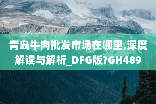 青岛牛肉批发市场在哪里,深度解读与解析_DFG版?GH489