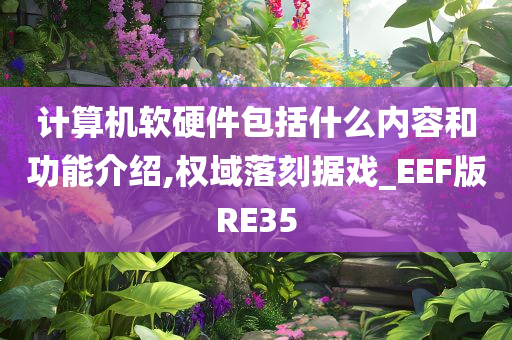 计算机软硬件包括什么内容和功能介绍,权域落刻据戏_EEF版RE35