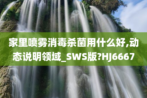 家里喷雾消毒杀菌用什么好,动态说明领域_SWS版?HJ6667