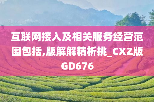 互联网接入及相关服务经营范围包括,版解解精析挑_CXZ版GD676