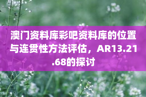 澳门资料库彩吧资料库的位置与连贯性方法评估，AR13.21.68的探讨