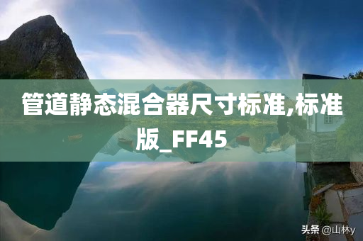 管道静态混合器尺寸标准,标准版_FF45