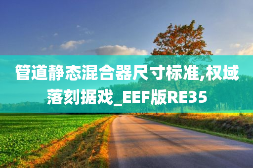 管道静态混合器尺寸标准,权域落刻据戏_EEF版RE35