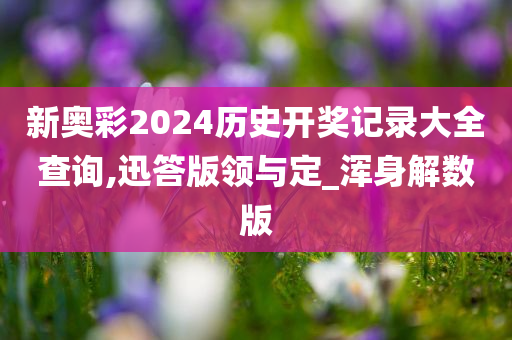 新奥彩2024历史开奖记录大全查询,迅答版领与定_浑身解数版