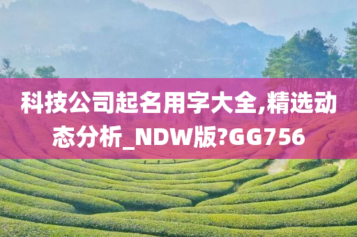 科技公司起名用字大全,精选动态分析_NDW版?GG756