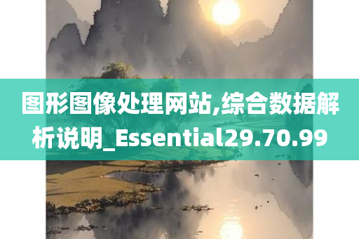 图形图像处理网站,综合数据解析说明_Essential29.70.99