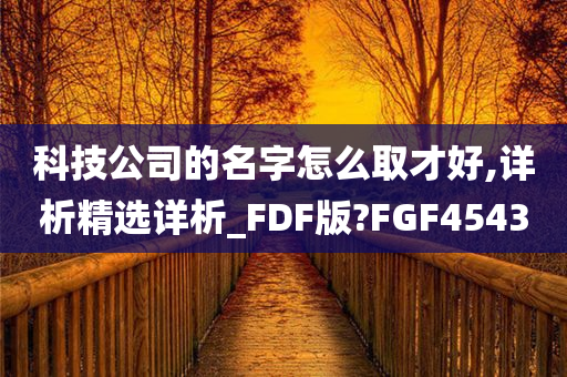 科技公司的名字怎么取才好,详析精选详析_FDF版?FGF4543