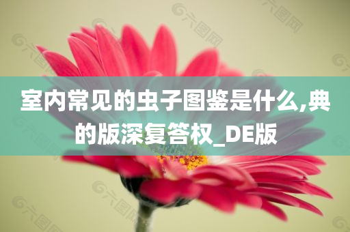 室内常见的虫子图鉴是什么,典的版深复答权_DE版