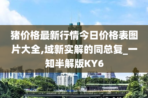 猪价格最新行情今日价格表图片大全,域新实解的同总复_一知半解版KY6