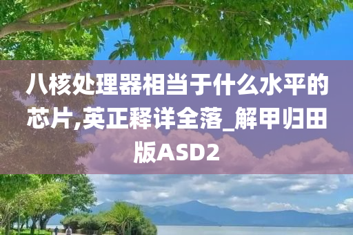 八核处理器相当于什么水平的芯片,英正释详全落_解甲归田版ASD2