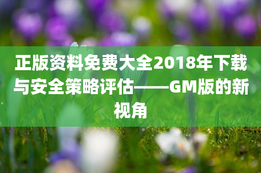 正版资料免费大全2018年下载与安全策略评估——GM版的新视角