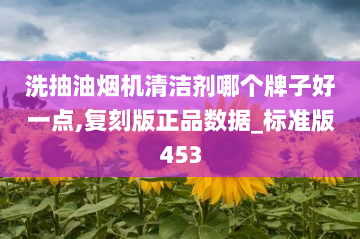 洗抽油烟机清洁剂哪个牌子好一点,复刻版正品数据_标准版453