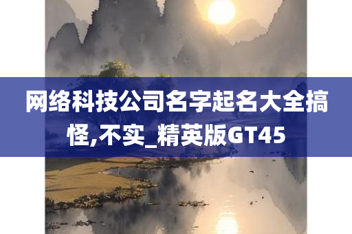 网络科技公司名字起名大全搞怪,不实_精英版GT45