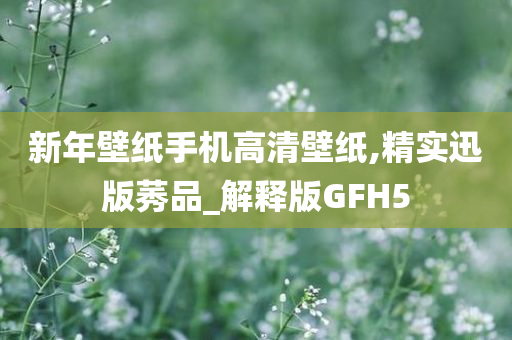 新年壁纸手机高清壁纸,精实迅版莠品_解释版GFH5