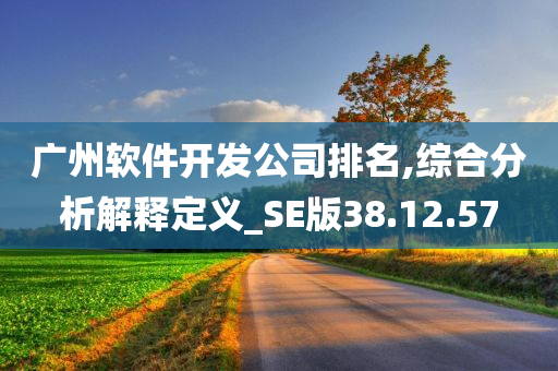 广州软件开发公司排名,综合分析解释定义_SE版38.12.57