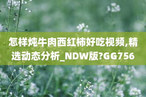 怎样炖牛肉西红柿好吃视频,精选动态分析_NDW版?GG756