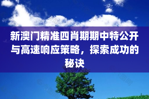 新澳门精准四肖期期中特公开与高速响应策略，探索成功的秘诀