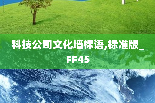 科技公司文化墙标语,标准版_FF45