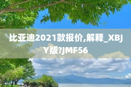 比亚迪2021款报价,解释_XBJY版?JMF56