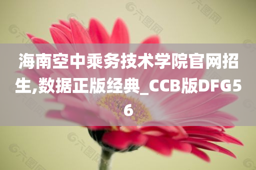 海南空中乘务技术学院官网招生,数据正版经典_CCB版DFG56