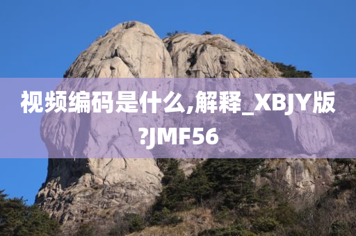 视频编码是什么,解释_XBJY版?JMF56