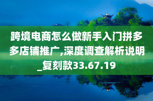 跨境电商怎么做新手入门拼多多店铺推广,深度调查解析说明_复刻款33.67.19