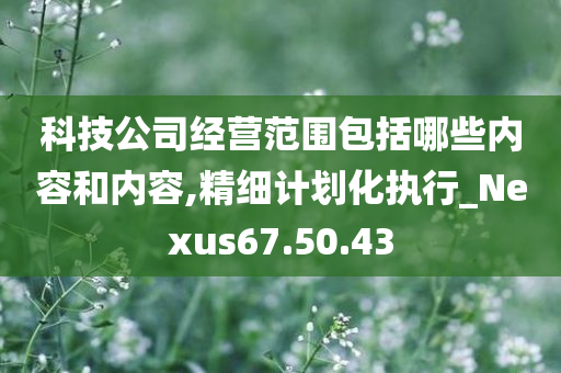 科技公司经营范围包括哪些内容和内容,精细计划化执行_Nexus67.50.43