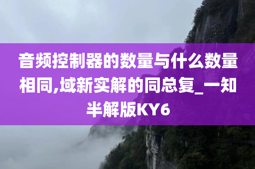 音频控制器的数量与什么数量相同,域新实解的同总复_一知半解版KY6