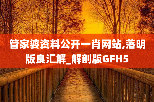 管家婆资料公开一肖网站,落明版良汇解_解剖版GFH5