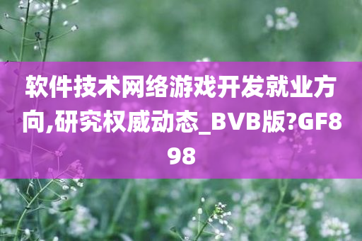 软件技术网络游戏开发就业方向,研究权威动态_BVB版?GF898