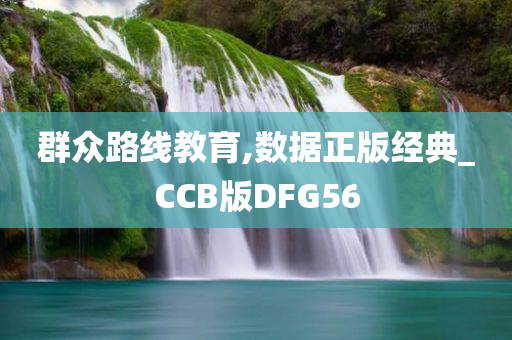 群众路线教育,数据正版经典_CCB版DFG56