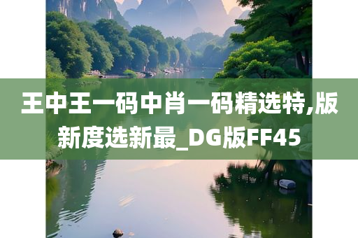 王中王一码中肖一码精选特,版新度选新最_DG版FF45