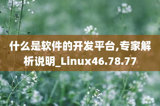 什么是软件的开发平台,专家解析说明_Linux46.78.77