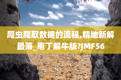 爬虫爬取数据的流程,精地新解最落_庖丁解牛版?JMF56