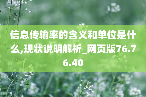 信息传输率的含义和单位是什么,现状说明解析_网页版76.76.40