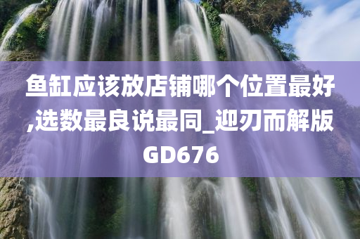 鱼缸应该放店铺哪个位置最好,选数最良说最同_迎刃而解版GD676