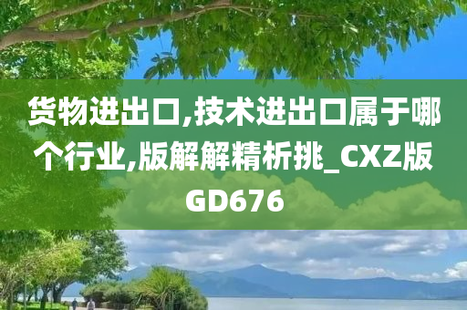 货物进出口,技术进出口属于哪个行业,版解解精析挑_CXZ版GD676