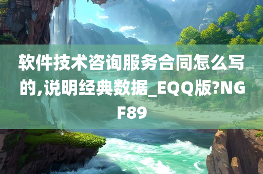 软件技术咨询服务合同怎么写的,说明经典数据_EQQ版?NGF89